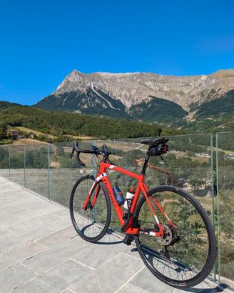 Bici da corsa Wilier Triestina
