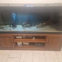 acquario 600 litri 