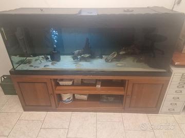 acquario 600 litri 