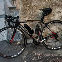 Bici da corsa in carbonio Wilier Triestina