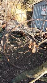 Rastrellone da fieno/paglia