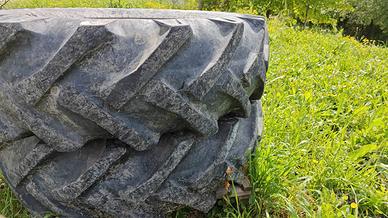 gomme trattore 