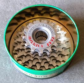 RUOTA LIBERA REGINA AMERICA 1992 7 RAPPORTI 13-23