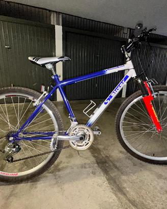 MTB usata