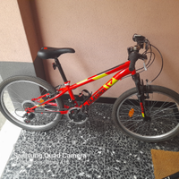Bici Dino Bikes Aurelia 24: