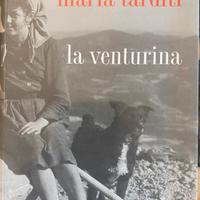 Maria Tarditi - la venturina