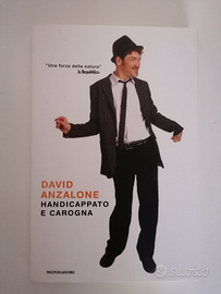 Handicappato e carogna