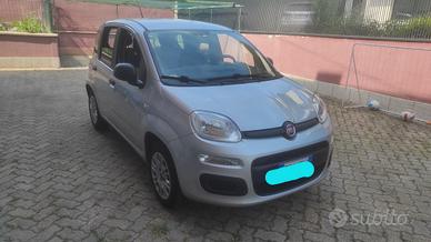 Panda 1.2 benzina 