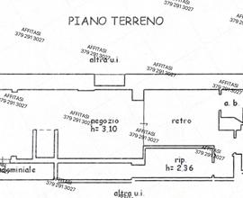 Fondo C1 piazza San marco