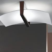 Lampada da parete/soffitto Linea Light