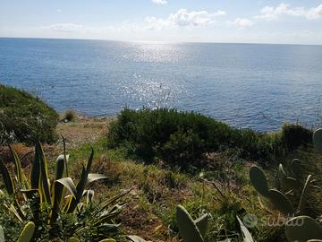 Sul mare di Acciaroli, Cilento in villetta indip