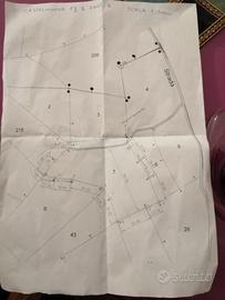 Bosco misto Montezemolo