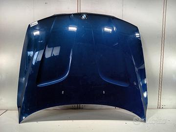 COFANO ANTERIORE BMW X3 1Â° Serie 41003449411 M57N