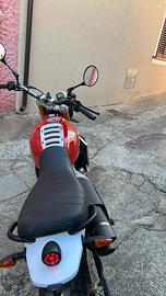 Caballero 500