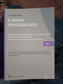 Demarchi Il nuovo processo civile 2009