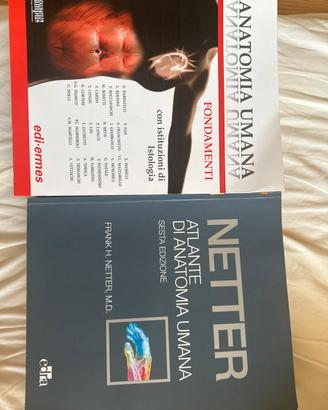 Anatomia umana ermes e atlante netter