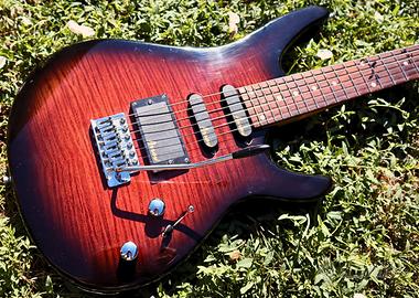 Arrow Chitarra elettrica Redburst 24 Tasti