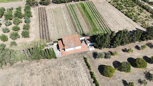 Agliadò terreno pianeggiante 2 Km dal mare