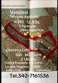 Terreno agricolo di MQ 12,836
