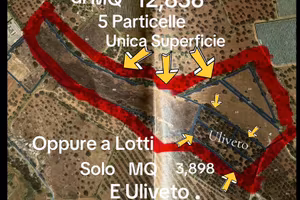 Terreno agricolo di MQ 12,836