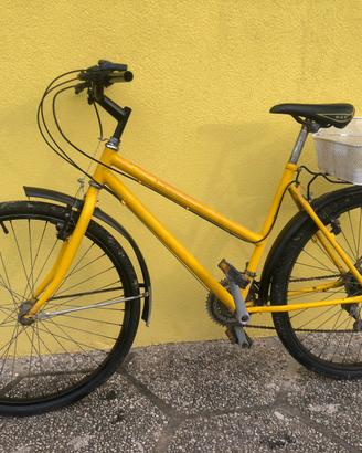 Bicicletta con cambio