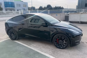 Tesla Y Performance
