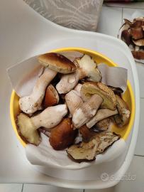 Cesta funghi porcini