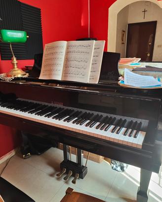 Pianoforte a coda B.STEINER