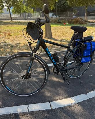 Bicicletta muscolare Kellys Carson 70 2021