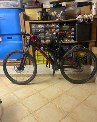 Bici focus spine