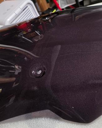 Cupolino touring WRS S1000XR