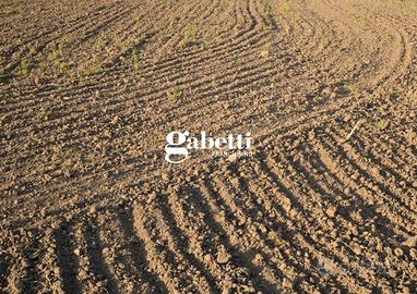 Terreno Agricolo Cartura [Cod. rif 0629251059VCG]