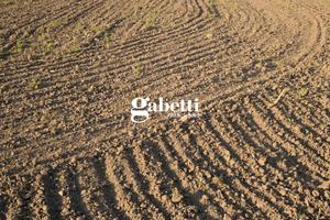 Terreno Agricolo Cartura [Cod. rif 0629251059VCG]