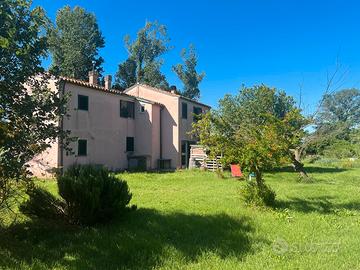 Casolare zona castelfidardo