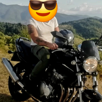 Suzuki Bandit 600 FMI LEGGI BENE