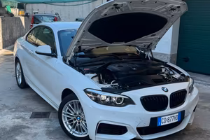 Bmw f22 218i msport manuale (serie 2 coupè)