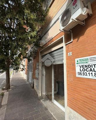 NEGOZIO A ALBANO LAZIALE