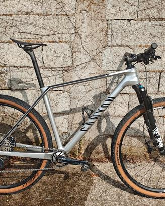 canyon exceed L 