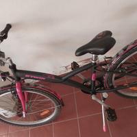 bicicletta 24