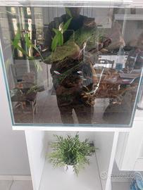 Acquario completo 