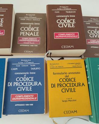 stock di 35 libri di diritto giurisprudenza codici