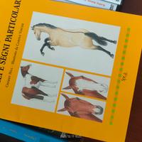 Libri su equitazione e cd doma vaquera