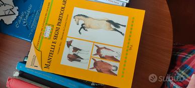 Libri su equitazione e cd doma vaquera