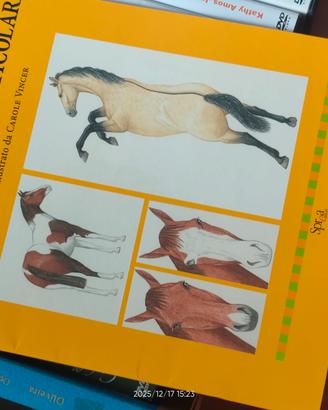 Libri su equitazione e cd doma vaquera