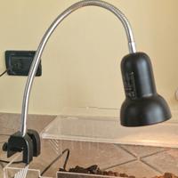 Lampada per terrario