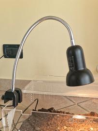 Lampada per terrario