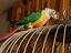 Immagine 1
