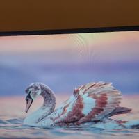BenQ EW3270U Monitor 4K 32 pollici HDR