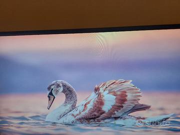 BenQ EW3270U Monitor 4K 32 pollici HDR