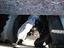 Immagine 22